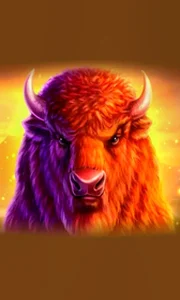 Buffalo 50