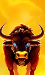 Big Wild Buffalo 2